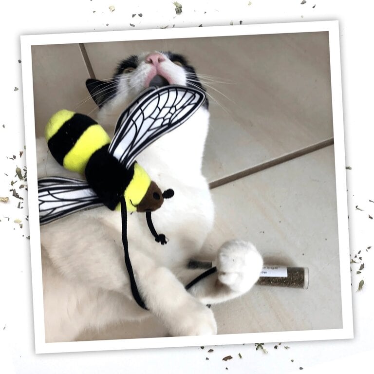 SmarterPaw Meowijuana Get Buzzed Refillable Bee Toy