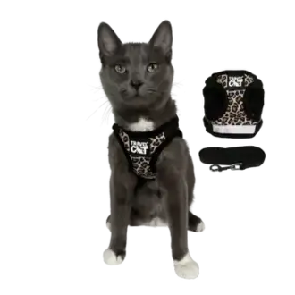 Travel Cat Travel Cat Cat Harness and Leash Set - Cheetah - Medium