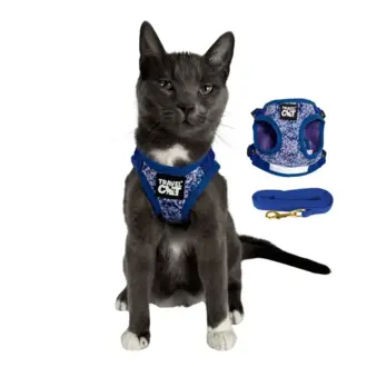 Travel Cat Travel Cat Cat Harness and Leash Set - The Groovy Cat - Medium