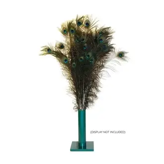Vee Enterprises Vee Enterprises Purrfect Peacock Feather Cat Toy