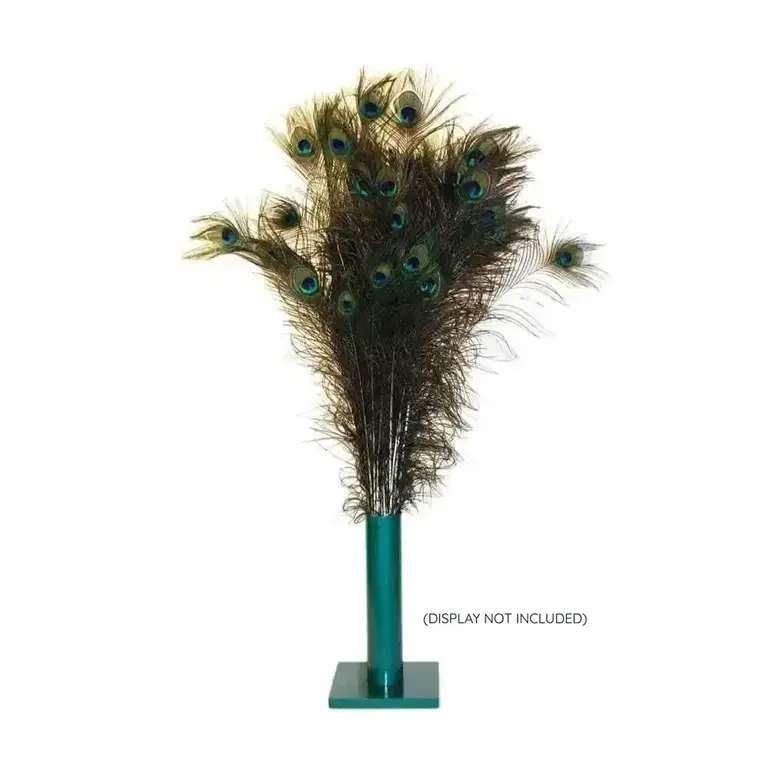 Vee Enterprises Vee Enterprises Purrfect Peacock Feather Cat Toy