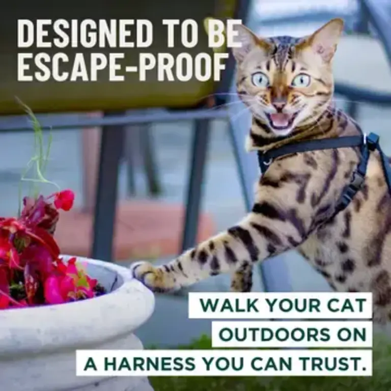 Outdoor Bengal Houdini Escape-Proof Cat Harness XL - Flamingo Pink