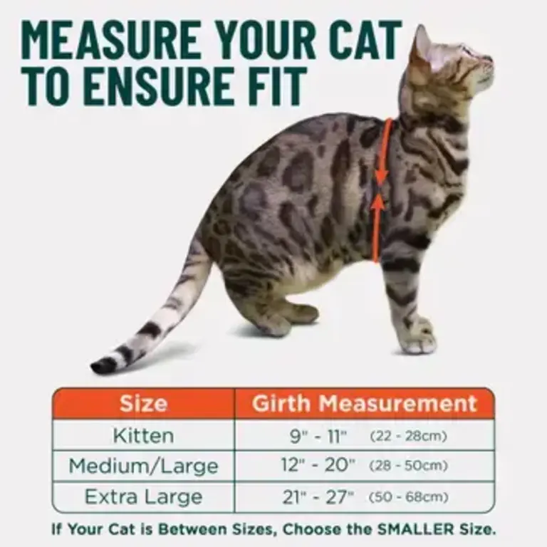 Outdoor Bengal Houdini Escape-Proof Cat Harness XL - Flamingo Pink
