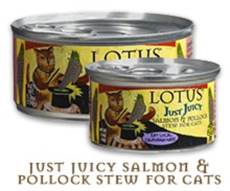 Lotus Lotus Just Juicy Salmon & Pollock Stew Grain-Free Canned Cat Food