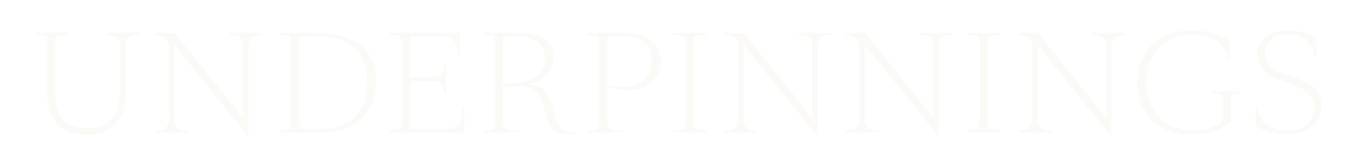 Underpinnings Lingerie