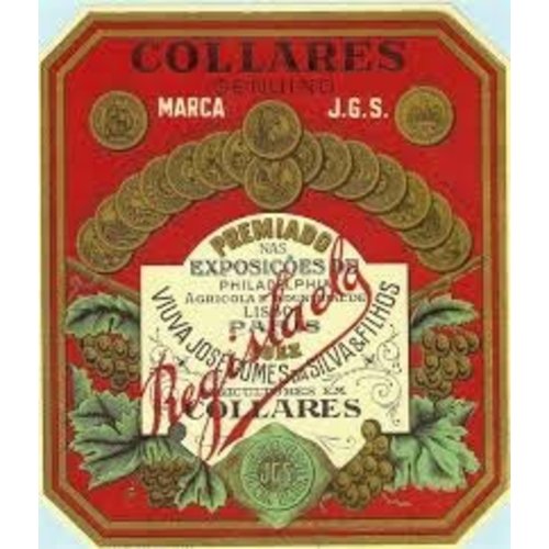 Wine VIUVA GOMES COLARES 1965 Wine VIUVA GOMES COLARES 1965