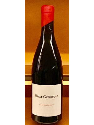 Wine FINCA GENOVEVA CAINO 2015