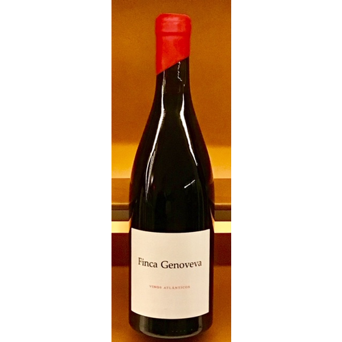 Wine FINCA GENOVEVA CAINO 2015