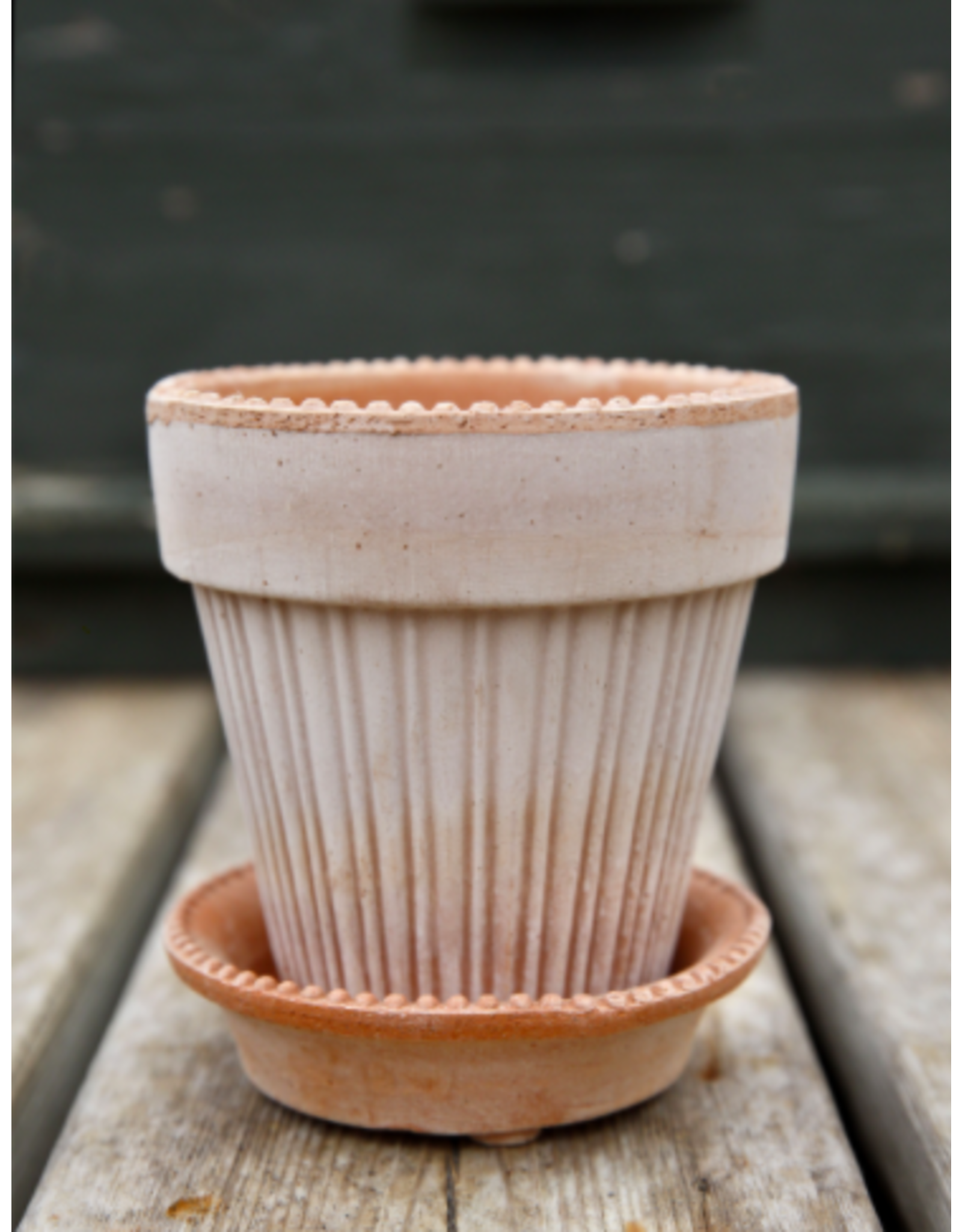Bergs Potter Simona Pot in Rose + Saucer by Bergs Potter