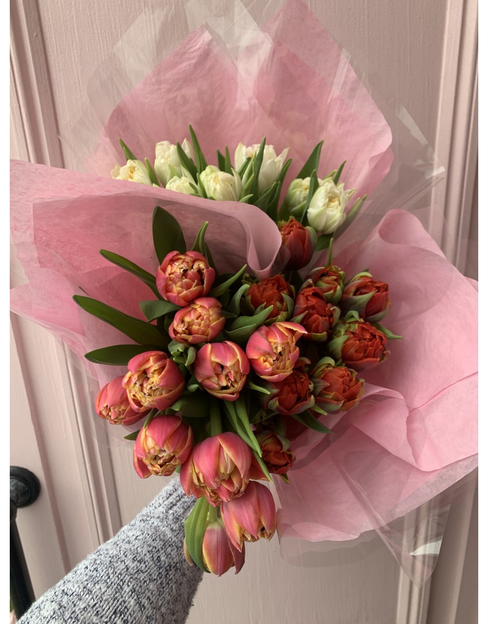 Junebug Valentine's Day Tulip Bunch in Assorted Colors