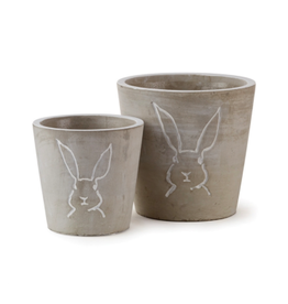 Napa Home & Garden Peter Rabbit Cachepot 4.25 x 4.25 x 4