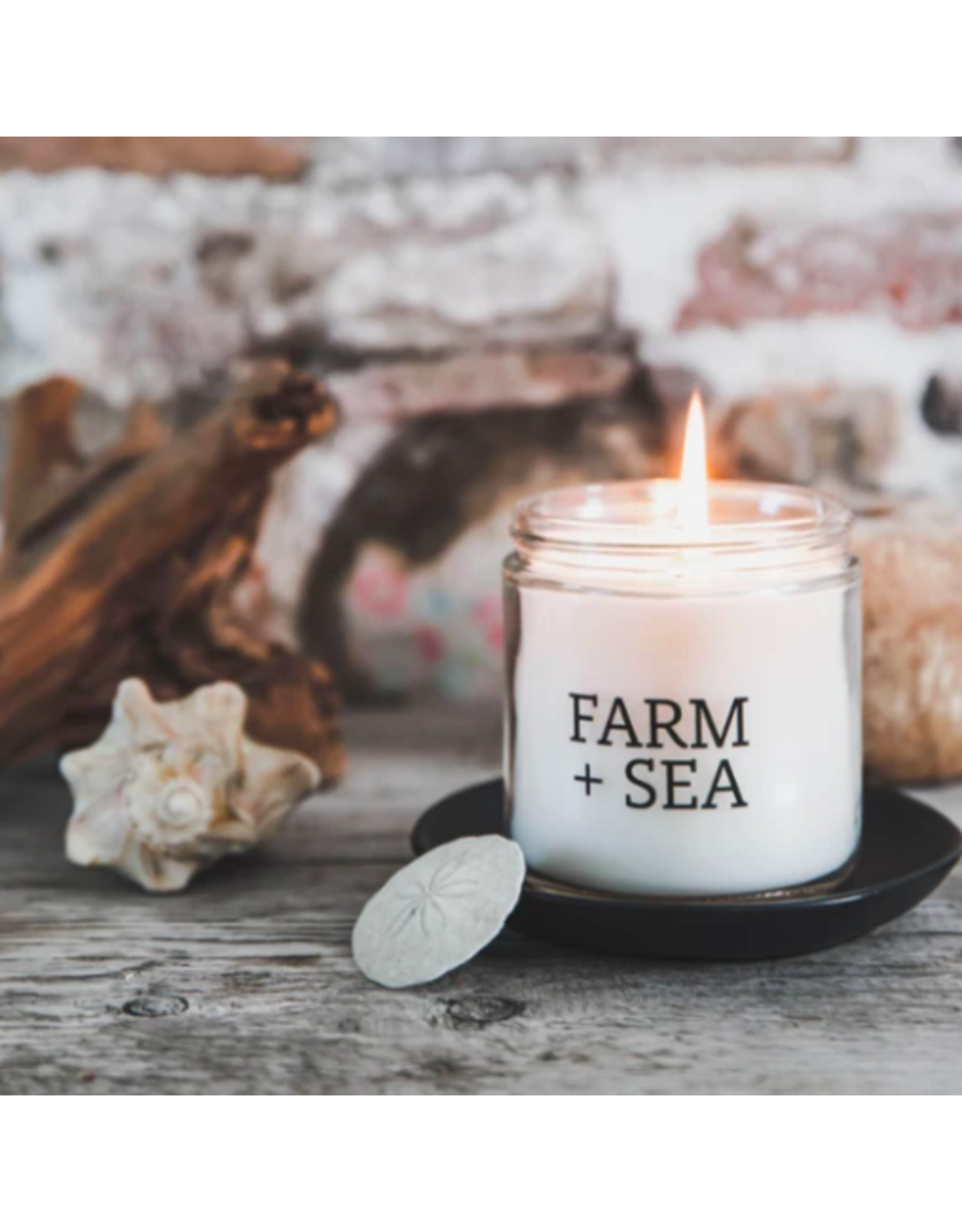 Farm + Sea Peony + Sea Salt Large Candle by Farm + Sea