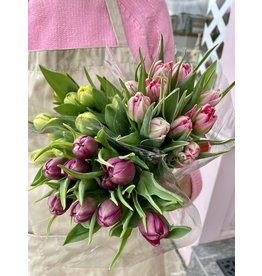 Junebug Easter Tulip Bouquet in Assorted Colors