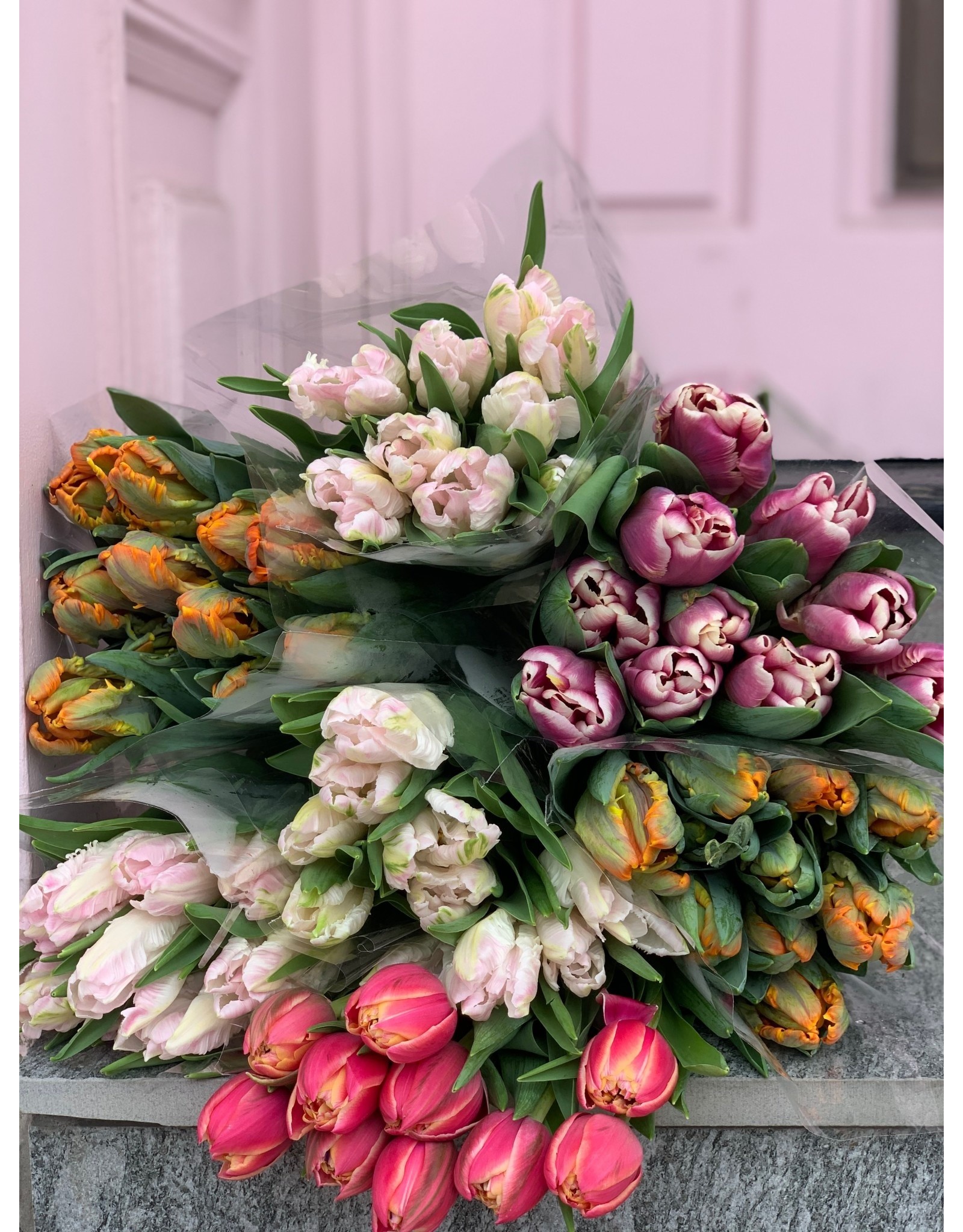 Junebug Mother's Day Specialty Tulip Bouquet