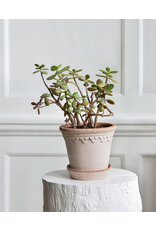 Bergs Potter 5.5" (14cm) Copenhagen Pot in Rose + Saucer by Bergs Potter