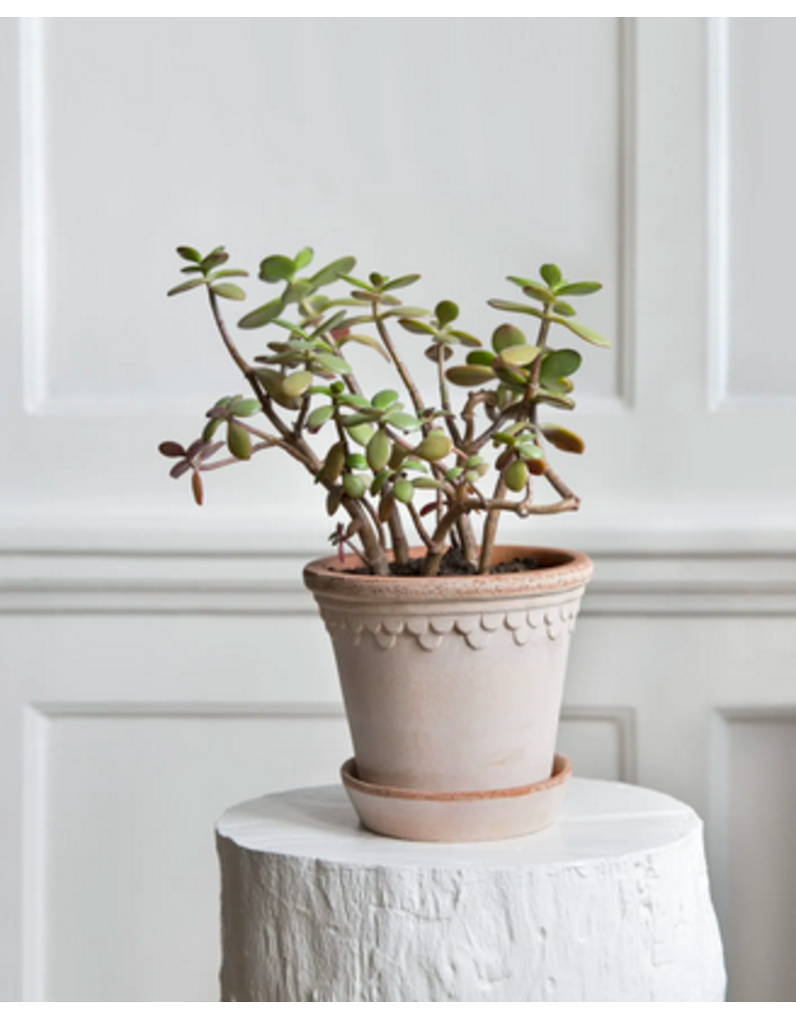 Bergs Potter 5.5" (14cm) Copenhagen Pot in Rose + Saucer by Bergs Potter