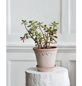 Bergs Potter 5.5" Copenhagen Pot in Rose + Saucer by Bergs Potter