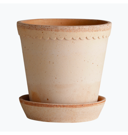 Bergs Potter 5.5" Helena Pot in Rose + Saucer by Bergs Potter