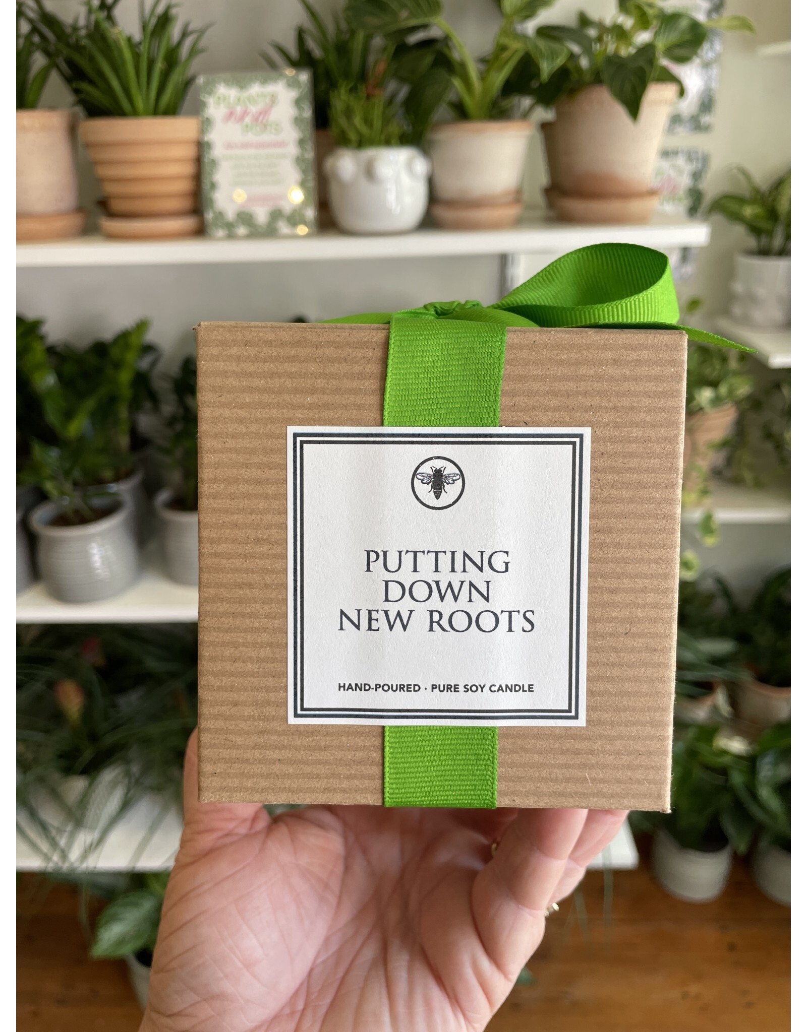 Ella B Putting Down New Roots Candle