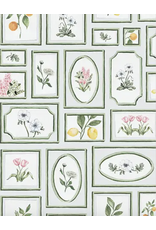 Dogwood Hill Joie Botanique Cards Boxed Set of 8