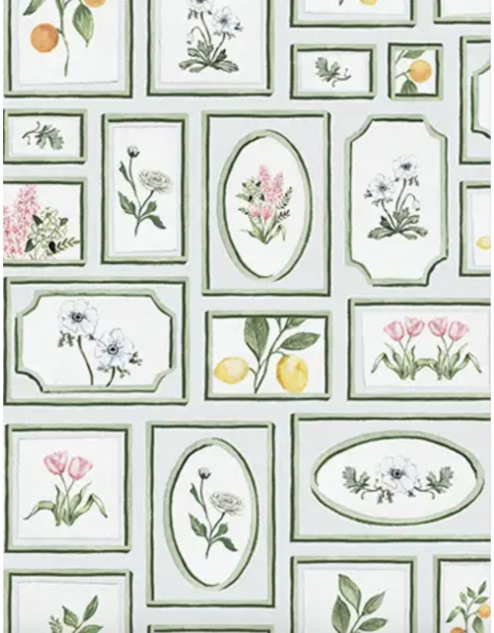 Dogwood Hill Joie Botanique Cards Boxed Set of 8