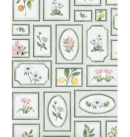 Dogwood Hill Joie Botanique Cards Boxed Set of 8
