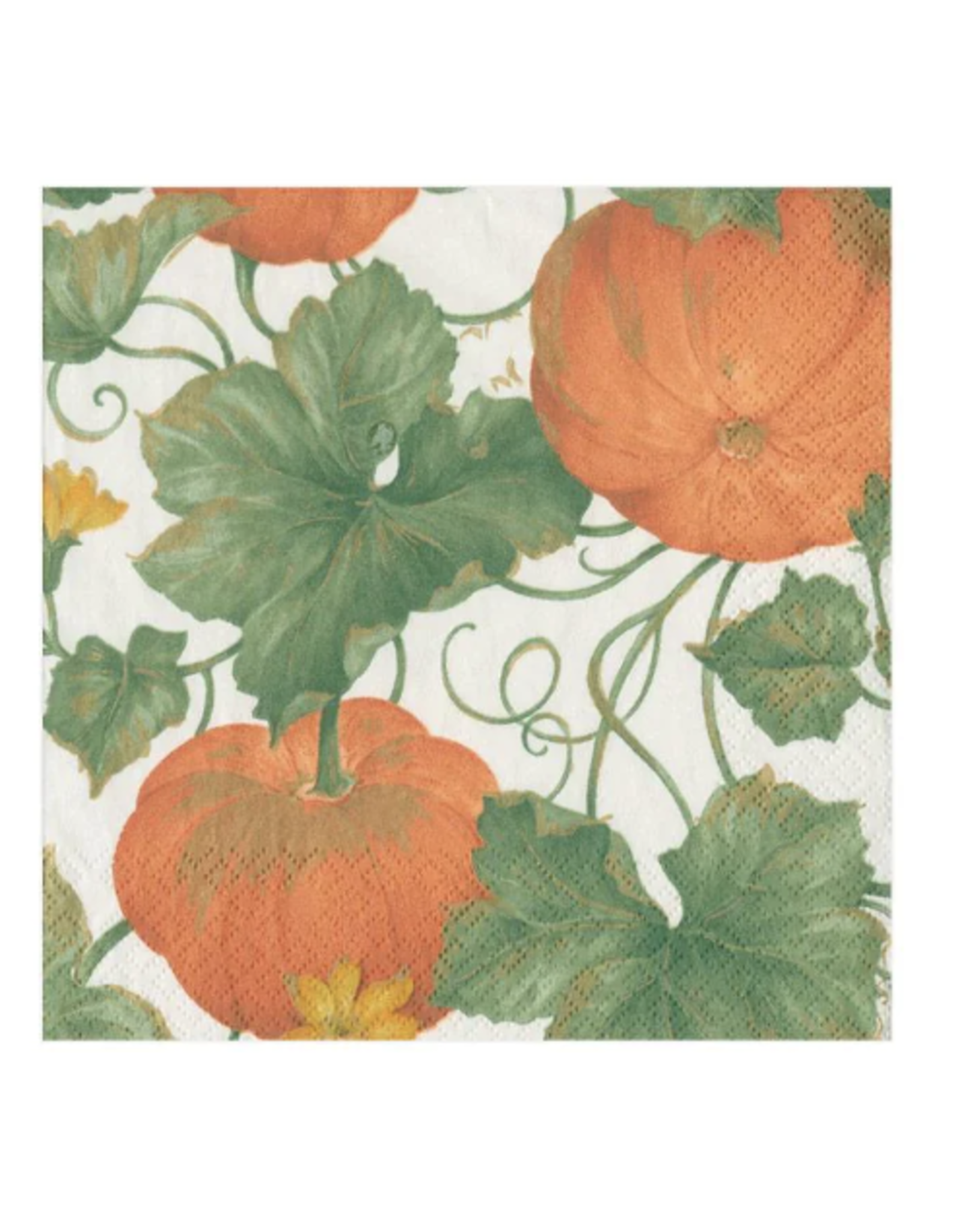 Caspari Heirloom Pumpkins in Orange Cocktail Napkin