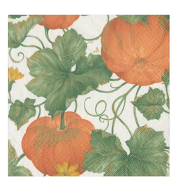 Caspari Heirloom Pumpkins in Orange Cocktail Napkin