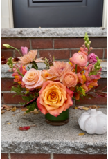 Junebug Petite Thanksgiving Arrangement