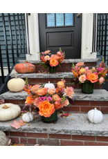 Junebug Petite Thanksgiving Arrangement