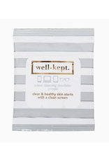 Well-Kept Screen Wipes, Pack of 15 in Gray Stripe