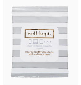 Well-Kept Screen Wipes, Pack of 15 in Gray Stripe