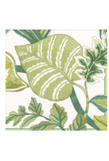 Caspari Florida Ivory Cocktail Napkins