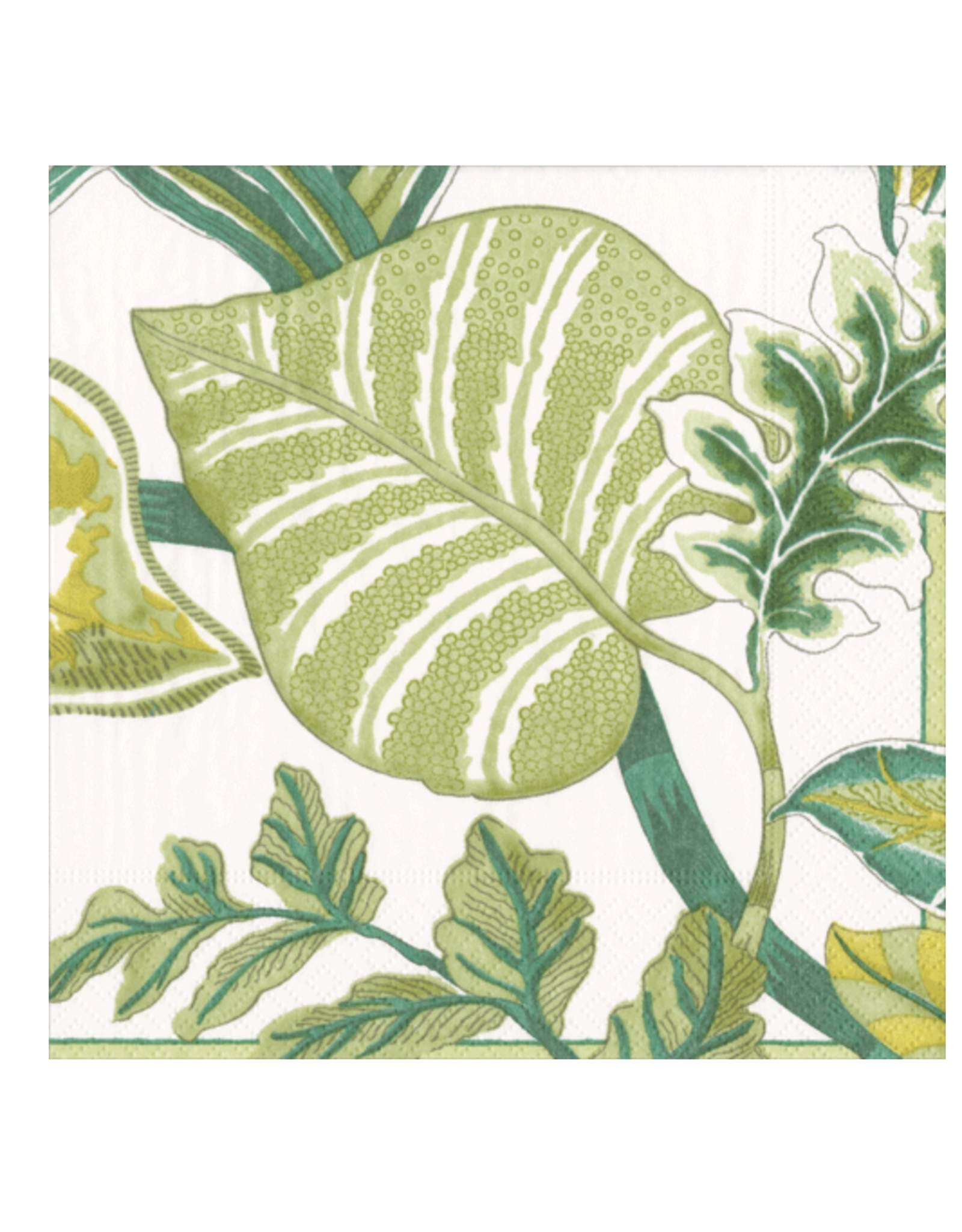Caspari Florida Ivory Cocktail Napkins
