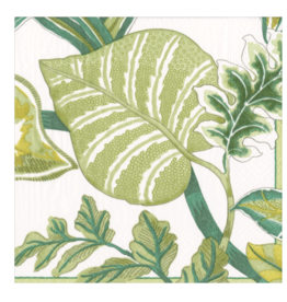 Caspari Florida Ivory Cocktail Napkins