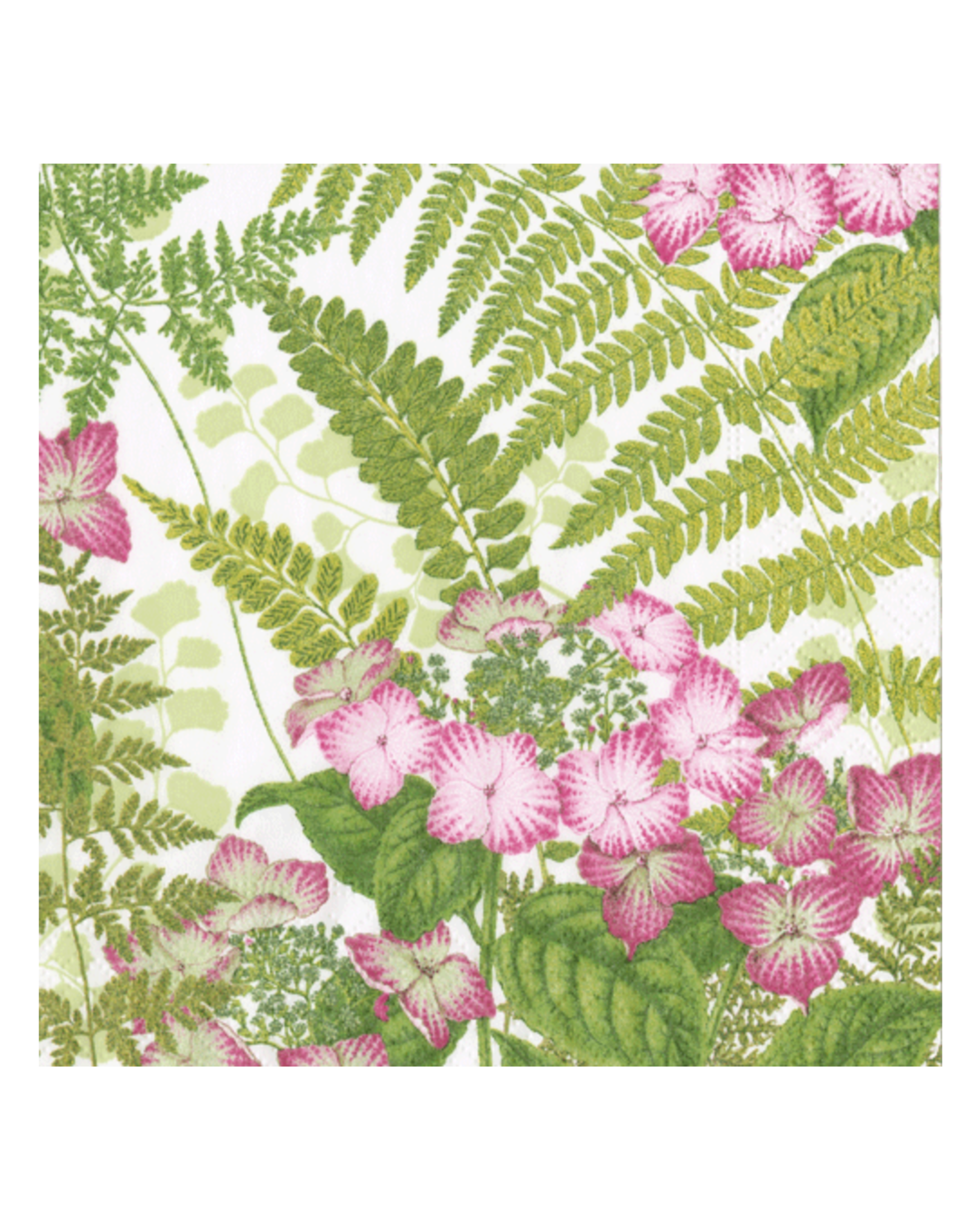 Caspari Fern Garden Cocktail Napkins