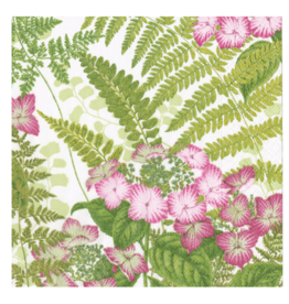 Caspari Fern Garden Cocktail Napkins