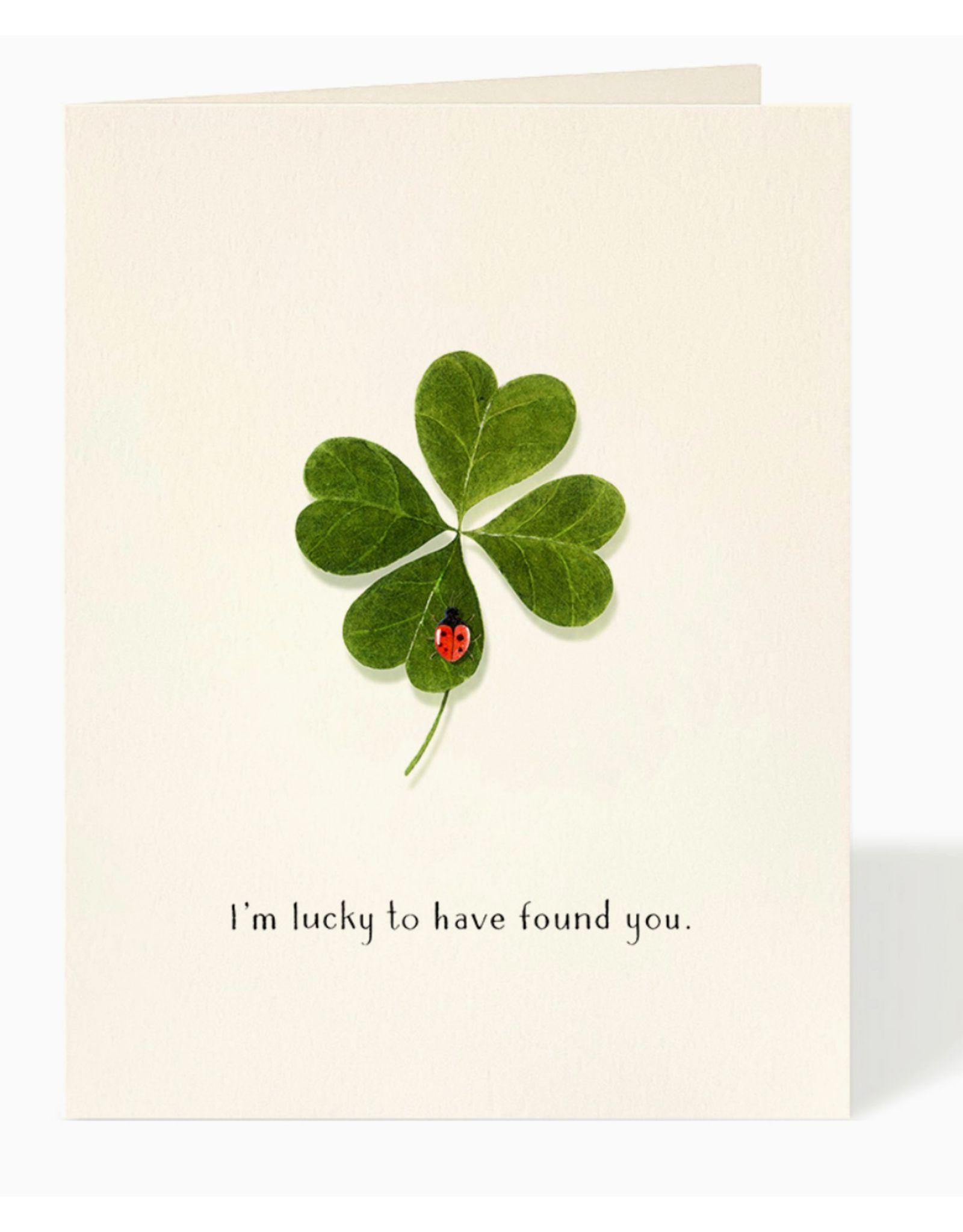 Felix Doolittle Luckiest Love Bug Card