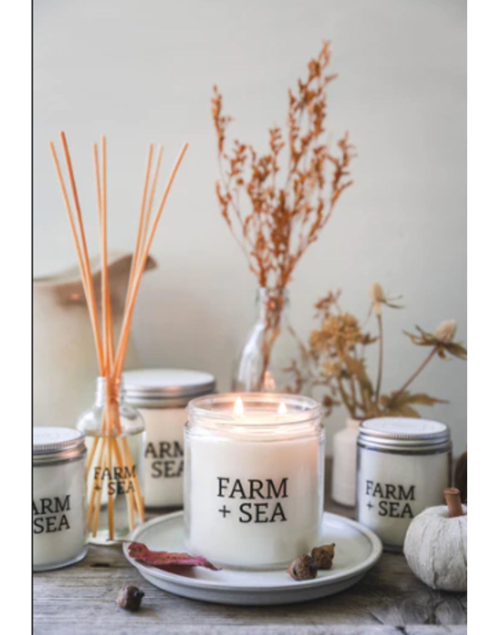 Farm + Sea Birch Logs + Blue Spruce Candle by Farm + Sea