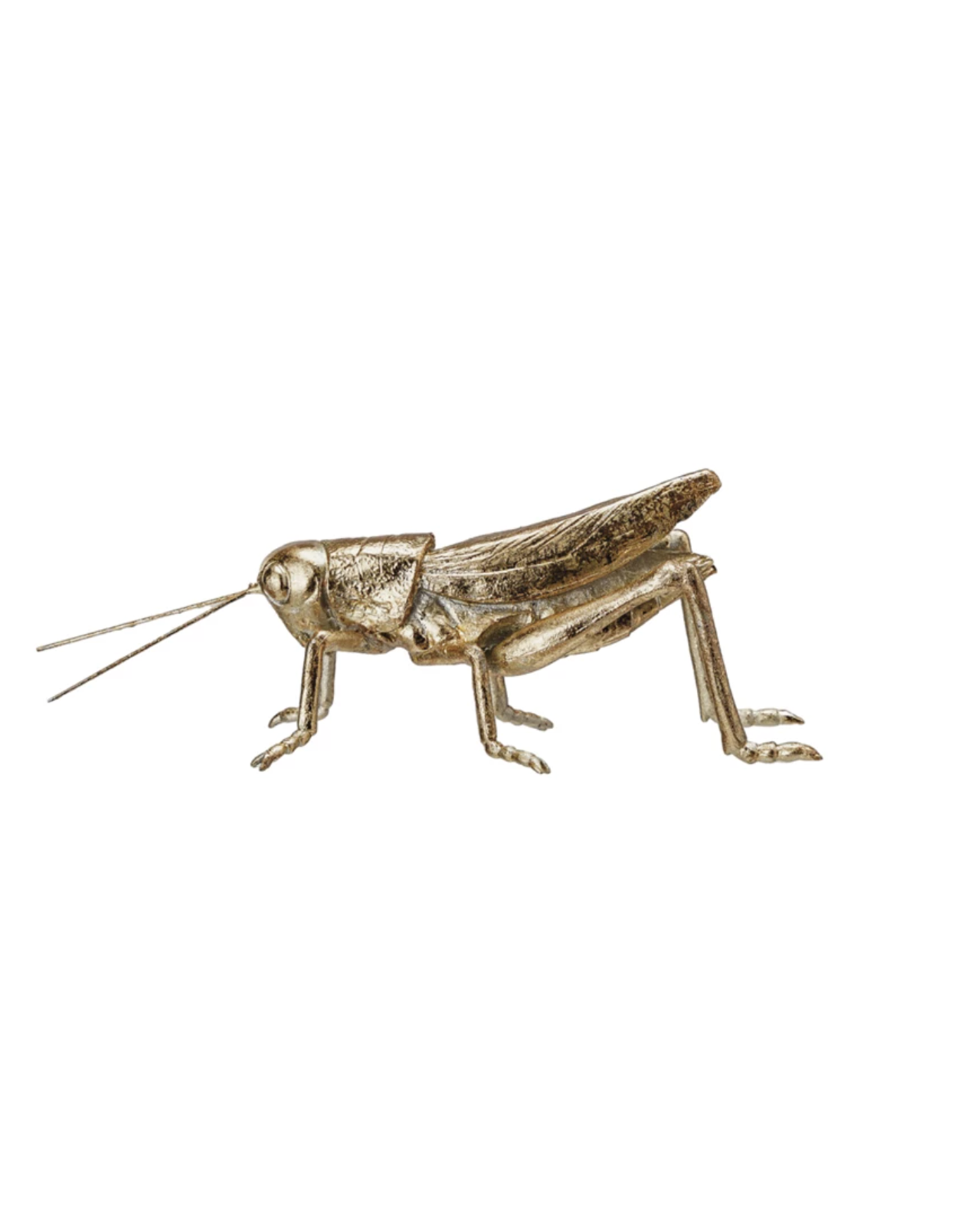 Decor Shop at Junebug Small Grasshopper in Gold