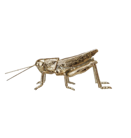 Decor Shop at Junebug Small Grasshopper in Gold
