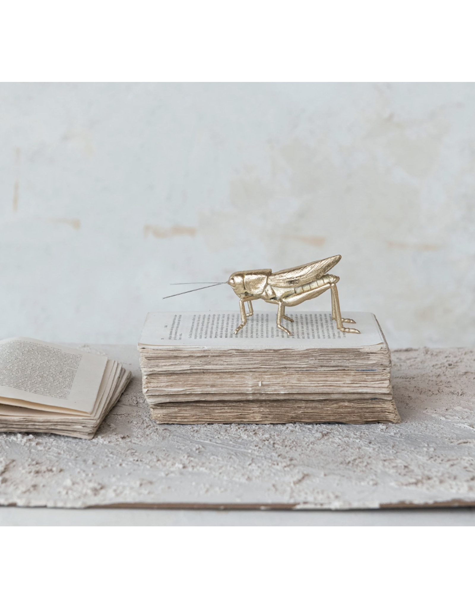Decor Shop at Junebug Small Grasshopper in Gold