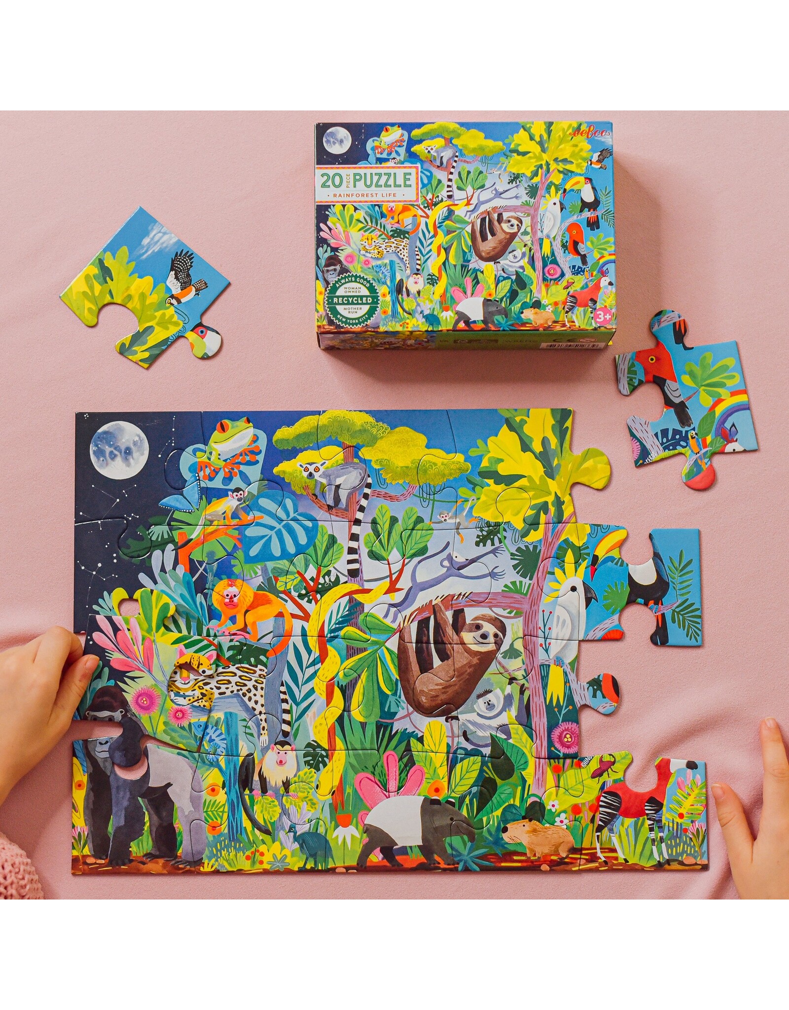 eeBoo Rainforest Life Puzzle