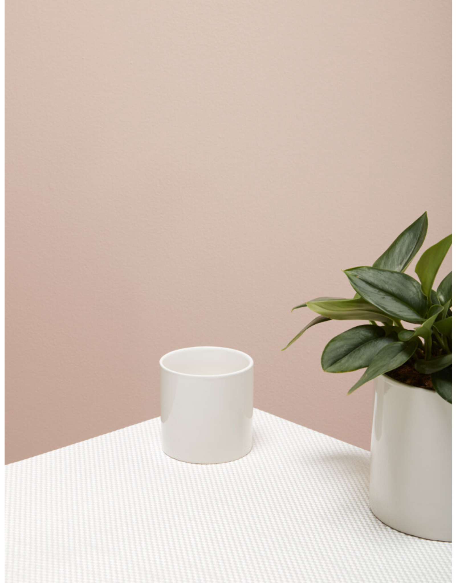 Decor Shop at Junebug Cercle Pot 4.25" x 4.25"
