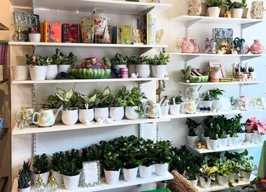 Plant Shop
