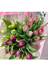 Junebug Easter Tulip Double Bouquet in Assorted Colors