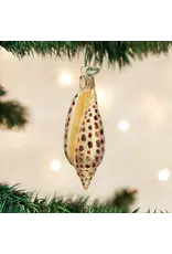 Junonia Shell Ornament