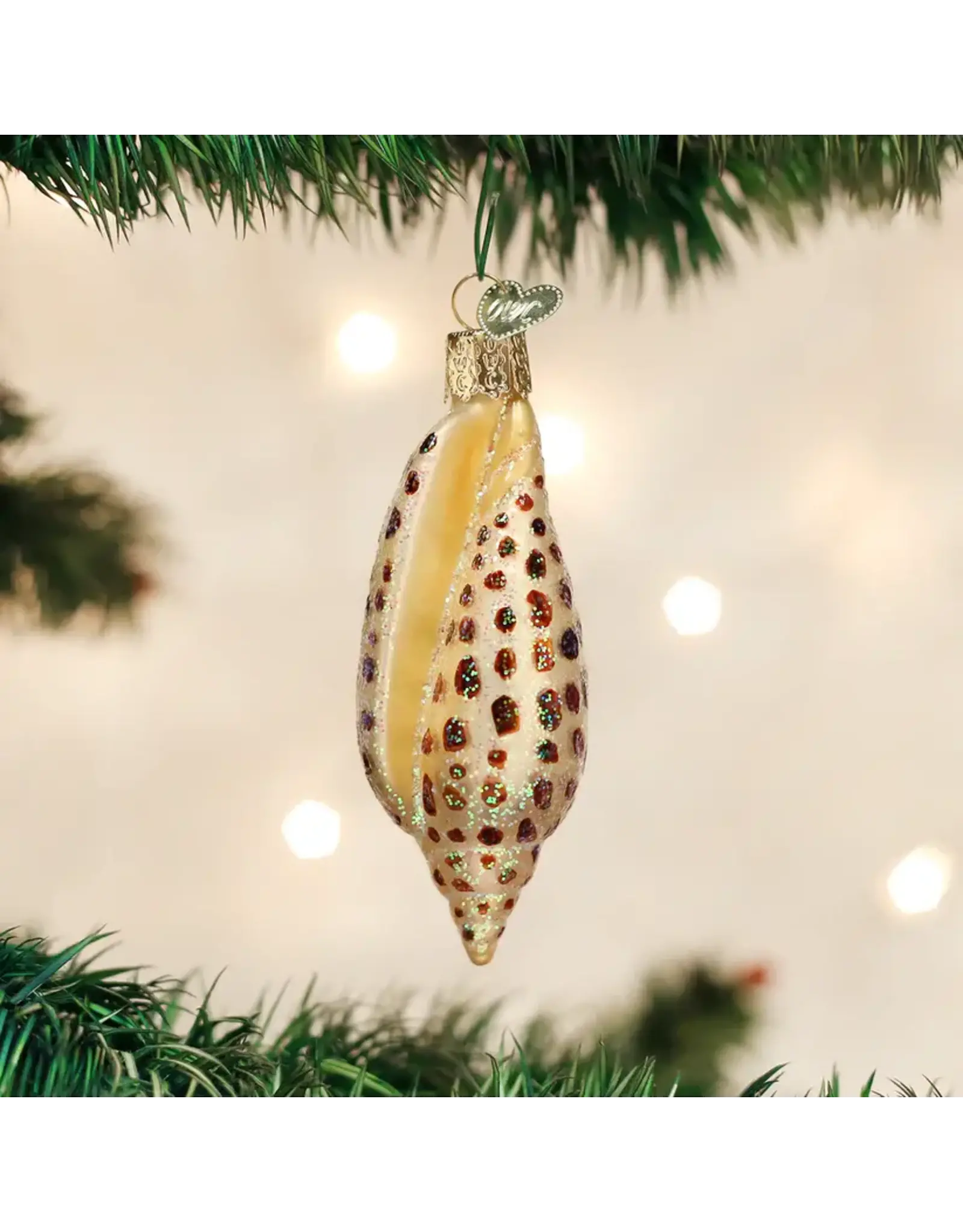 Junonia Shell Ornament