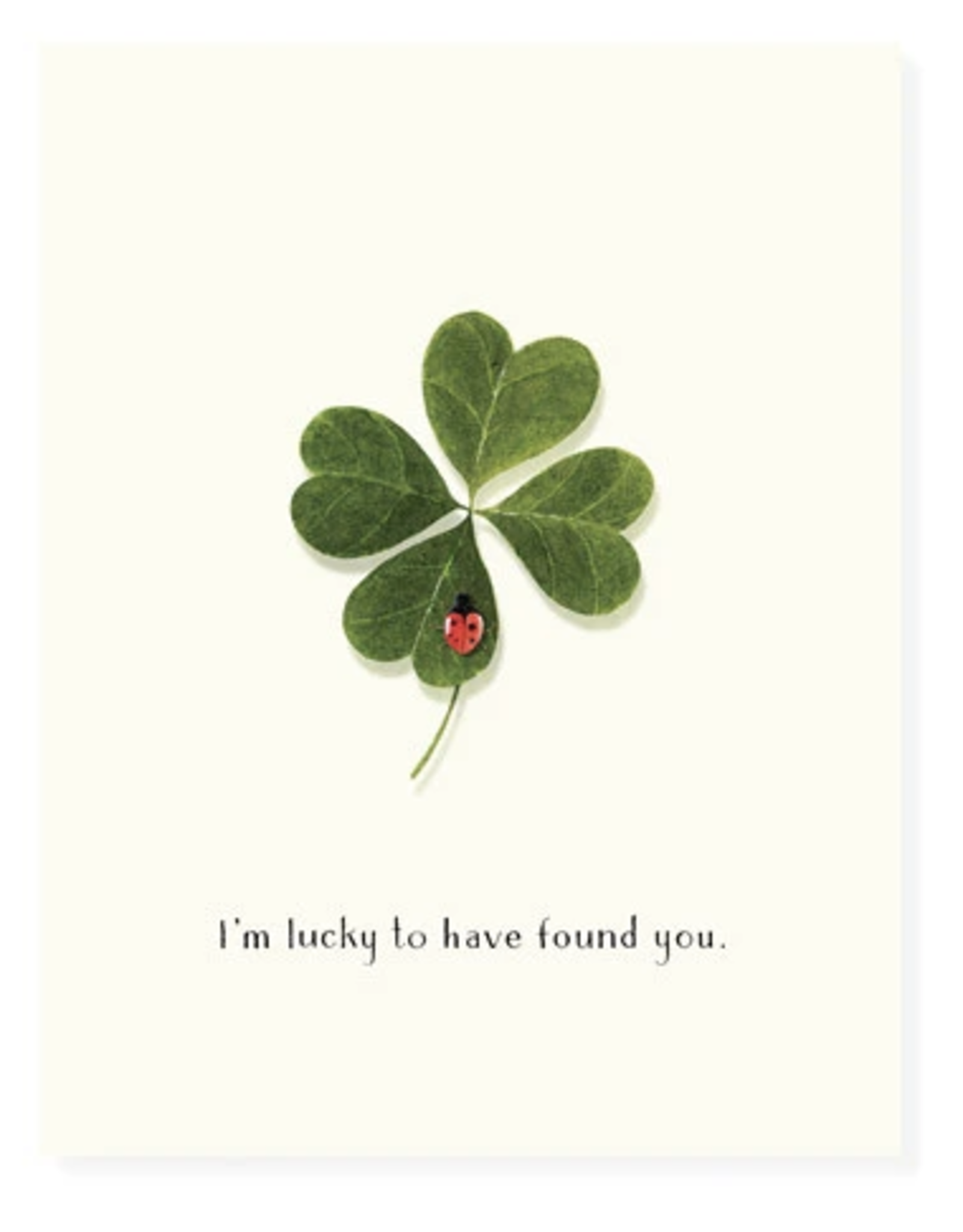 Felix Doolittle Luckiest Love Bug Card