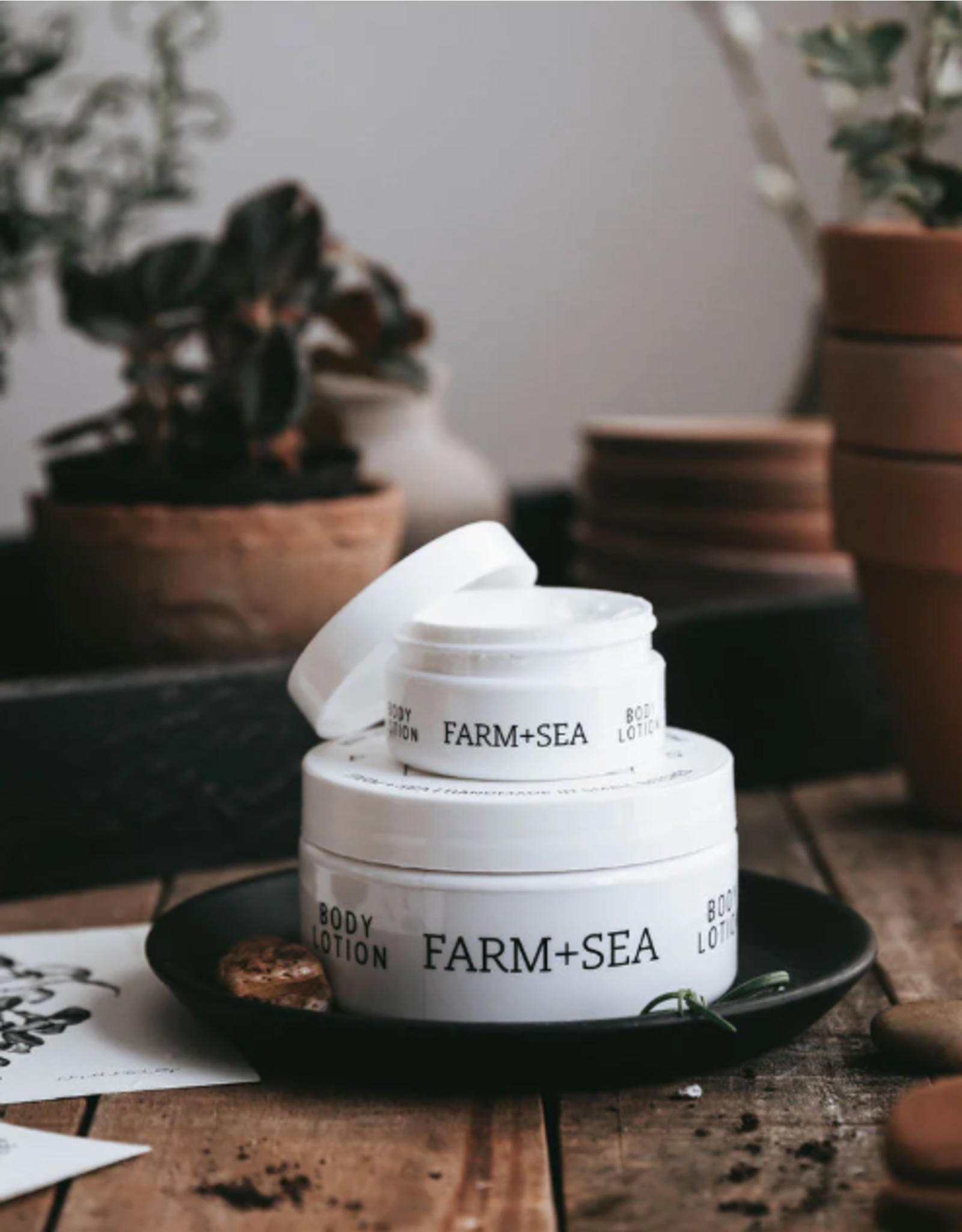 Farm + Sea Peony + Sea Salt Lotion by Farm + Sea